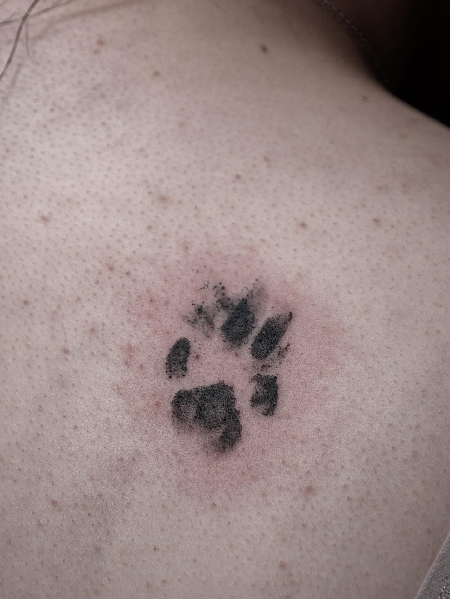 Minimalist Pawprint Impression Tattoo Tattoo Design