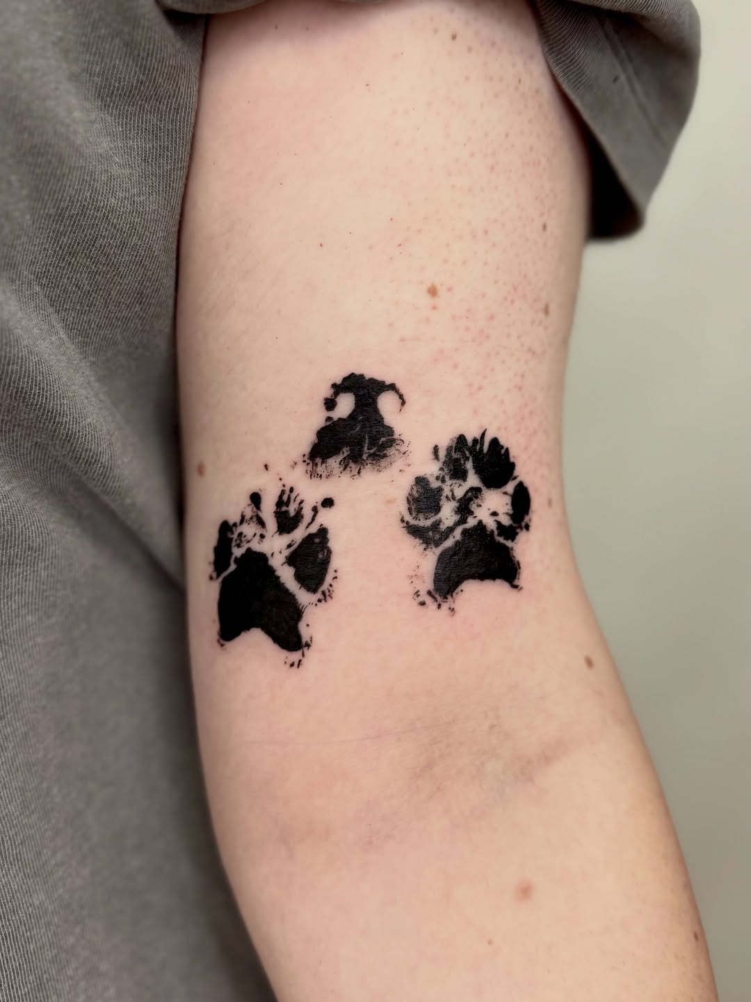 Three Pawprint Impressions Tattoo Tattoo Design