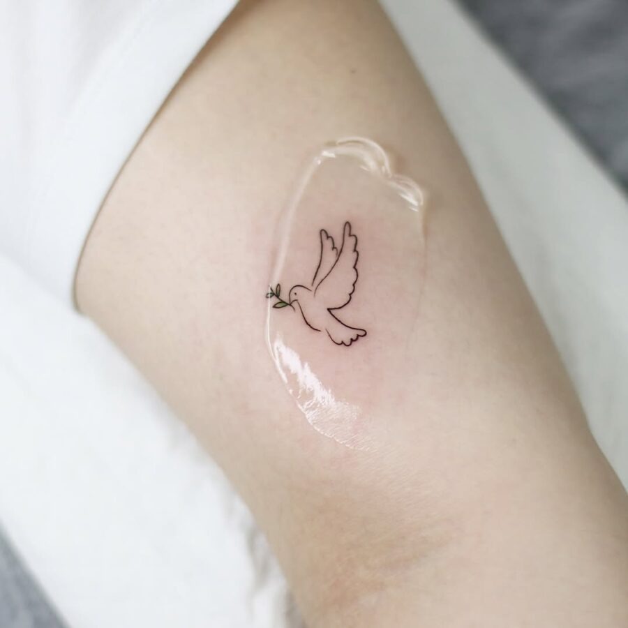 Simple dove tattoo symbolizes peace and freedom Tattoo Design