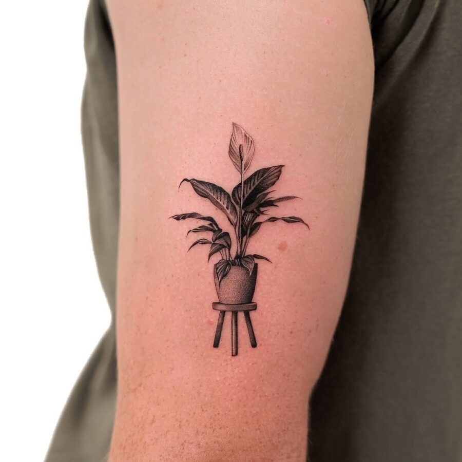 Stylish potted plant tattoo symbolizing peace Tattoo Design
