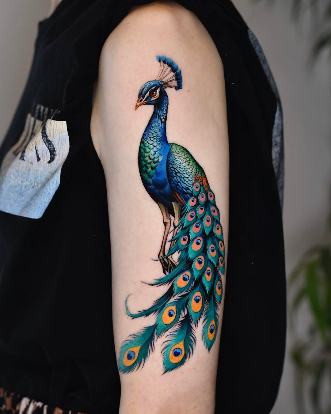 Stunning Peacock Tattoo with Colorful Feathers Tattoo Design