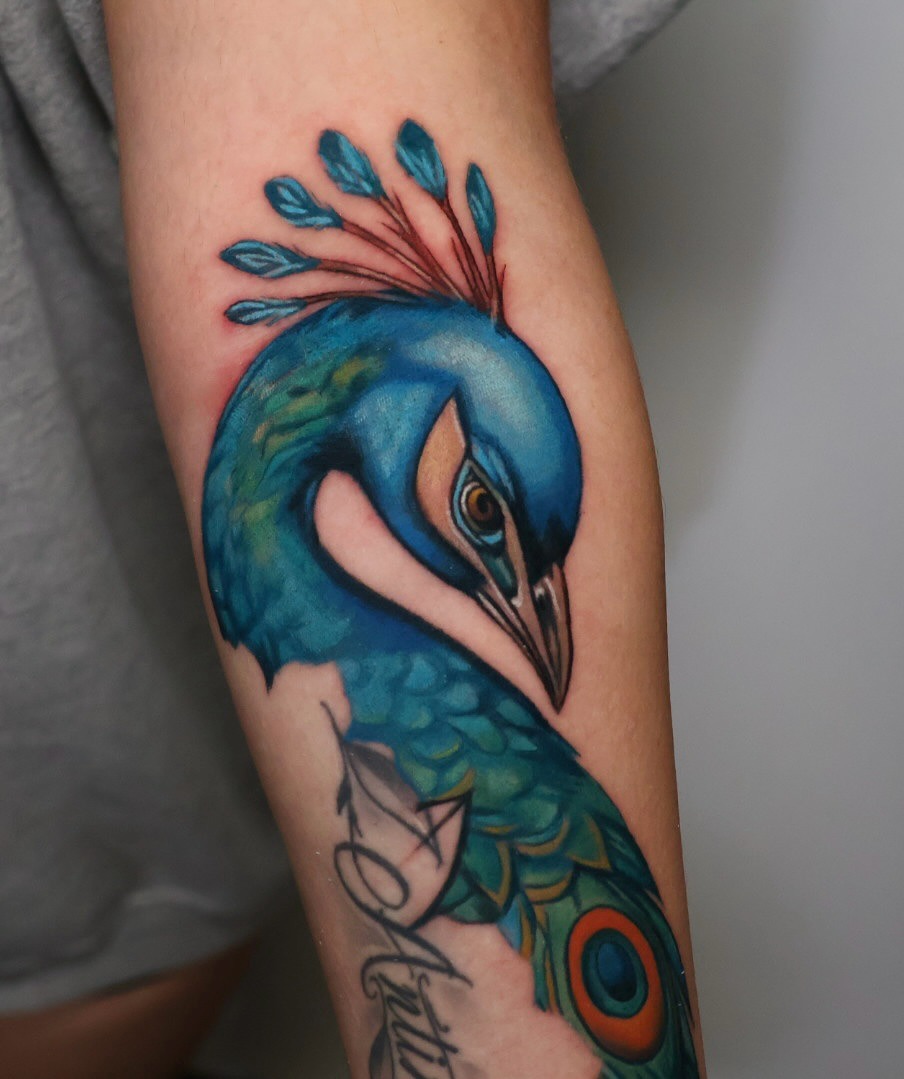 Stunning vibrant peacock tattoo on forearm Tattoo Design