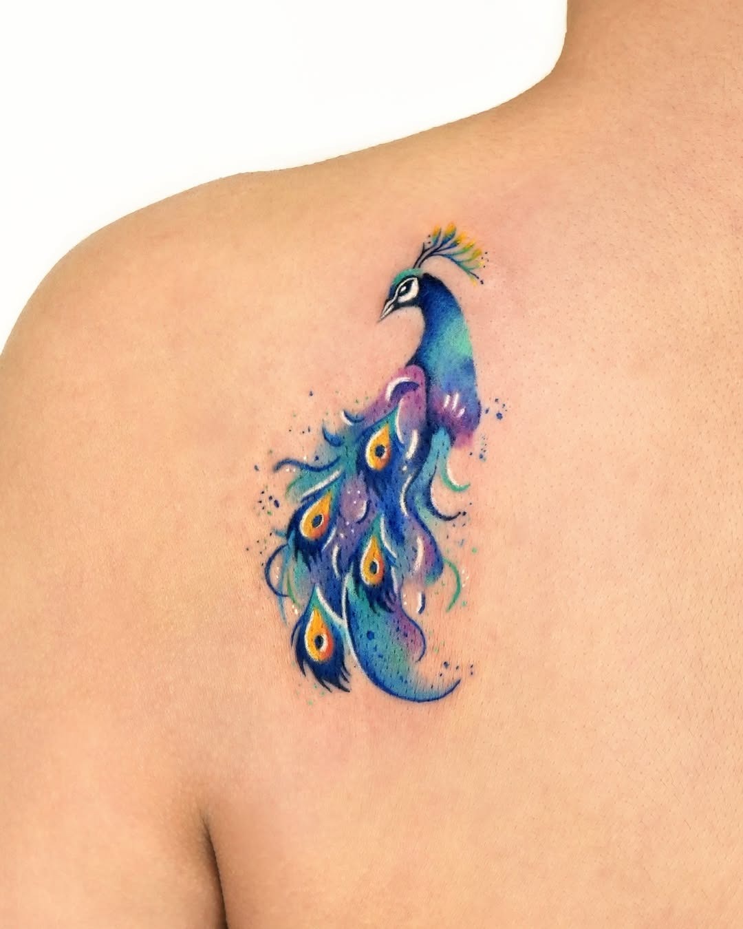 Vibrant peacock tattoo showcasing intricate artistry Tattoo Design