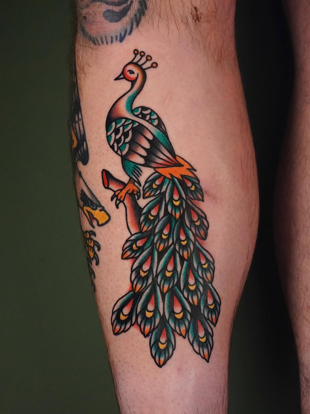 Vibrant peacock tattoo showcasing stunning details Tattoo Design