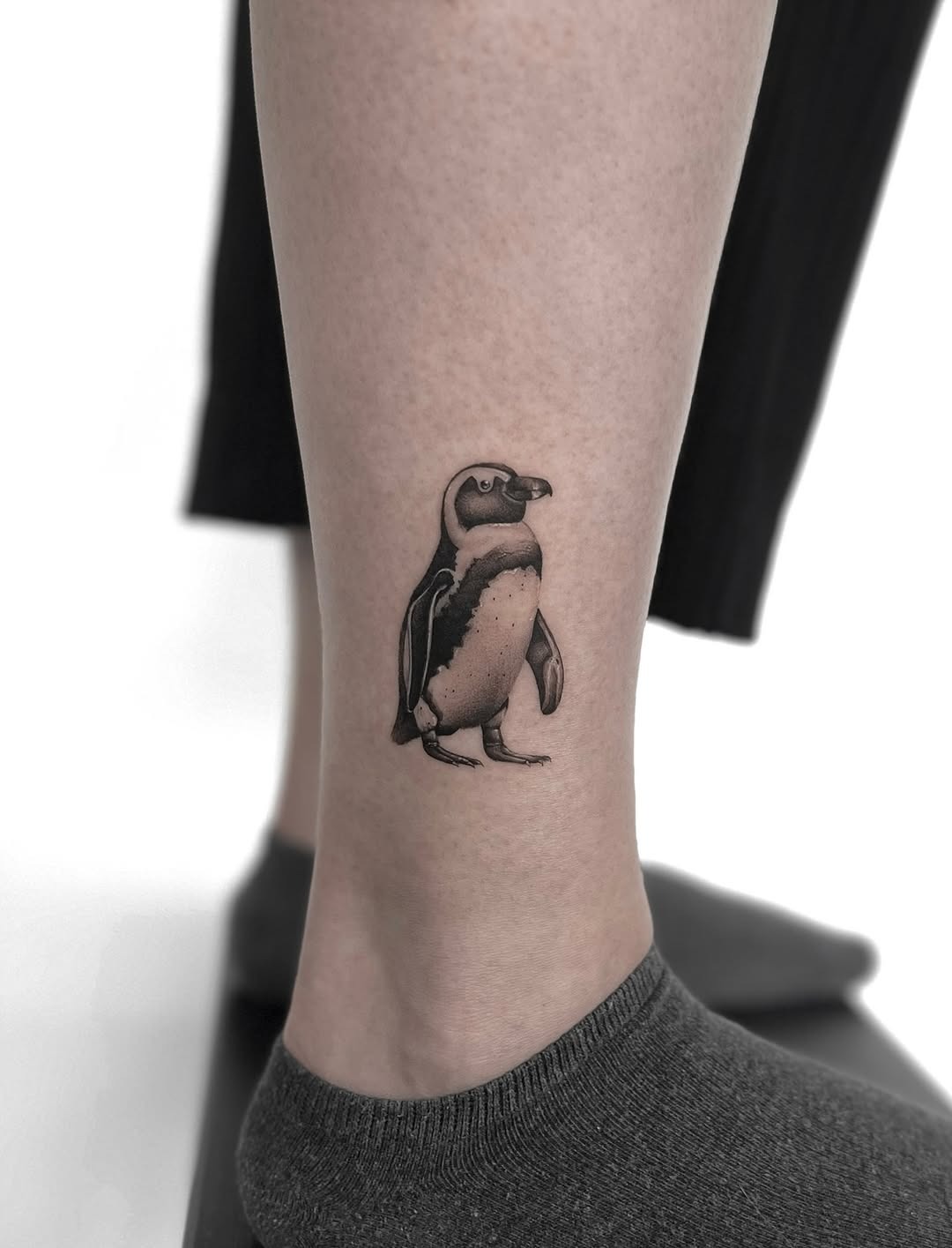 Charming black and white penguin tattoo design Tattoo Design