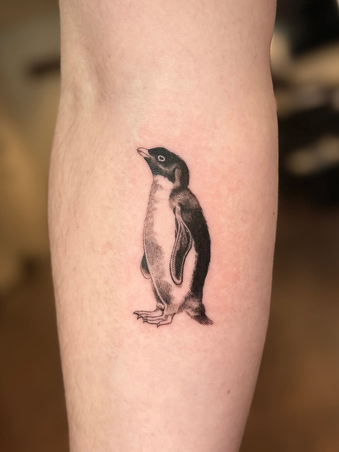 Charming penguin tattoo full of character Tattoo Design