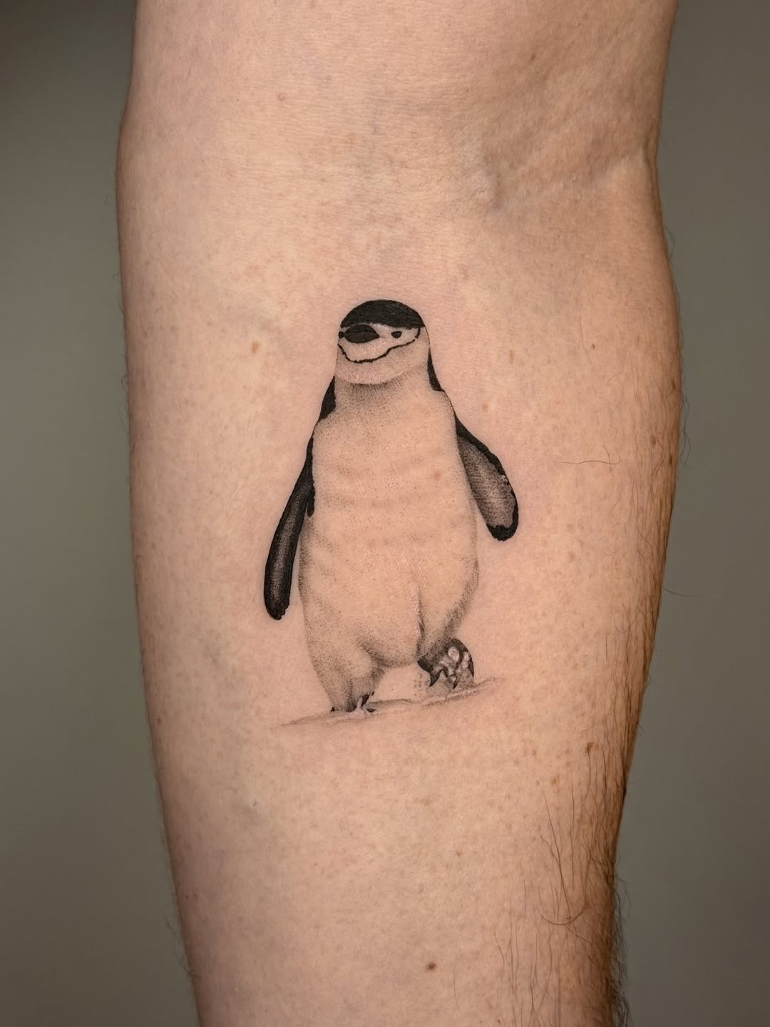 Charming Penguins Uniquely Inked on Skin Tattoo Design
