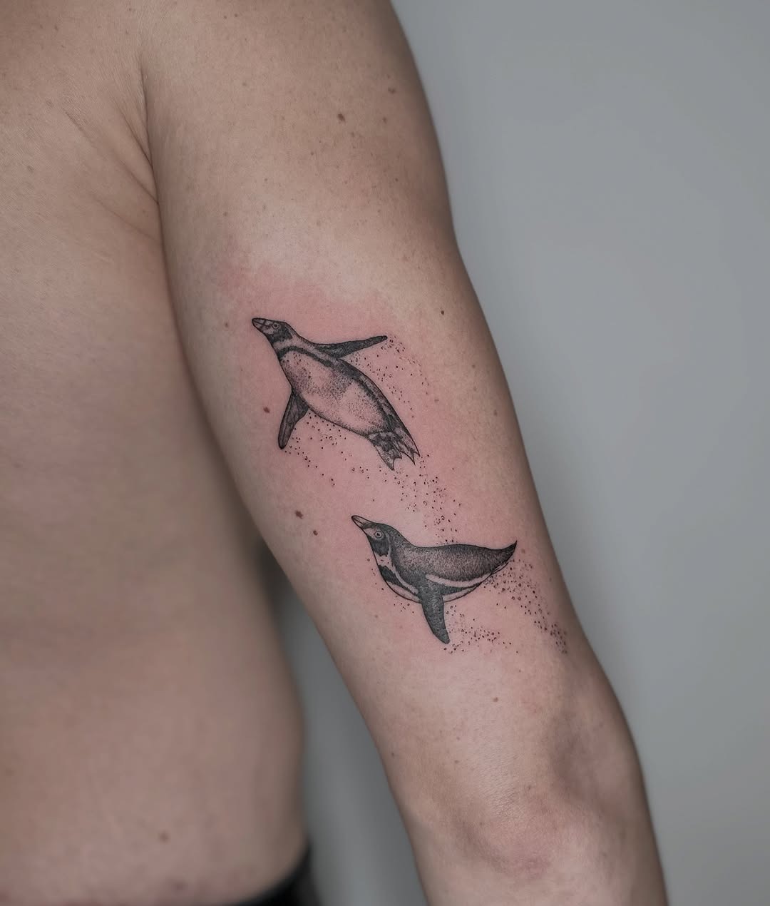 Elegant penguins in a playful, dynamic pose. Tattoo Design