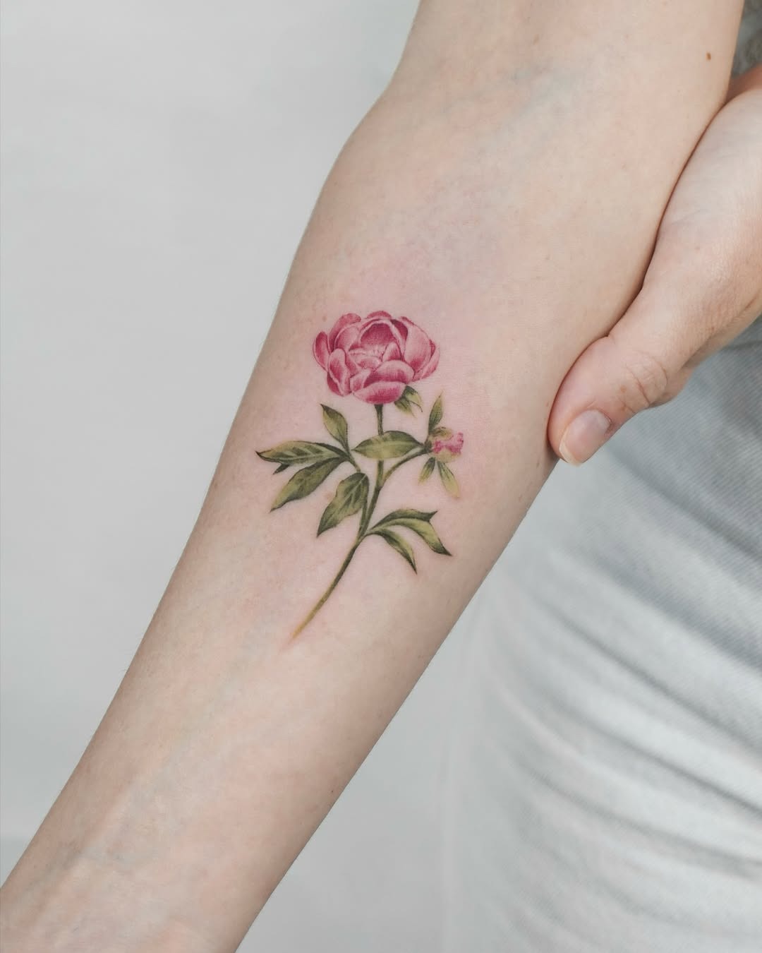 Vibrant peony tattoo on a delicate arm Tattoo Design