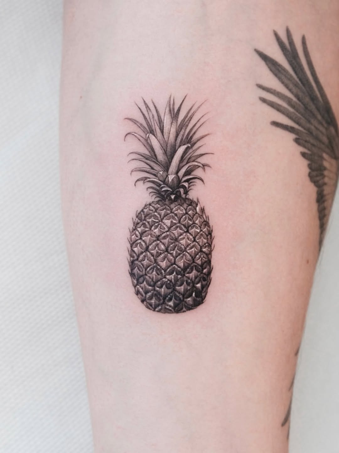 Stunning realistic black and gray pineapple tattoo Tattoo Design
