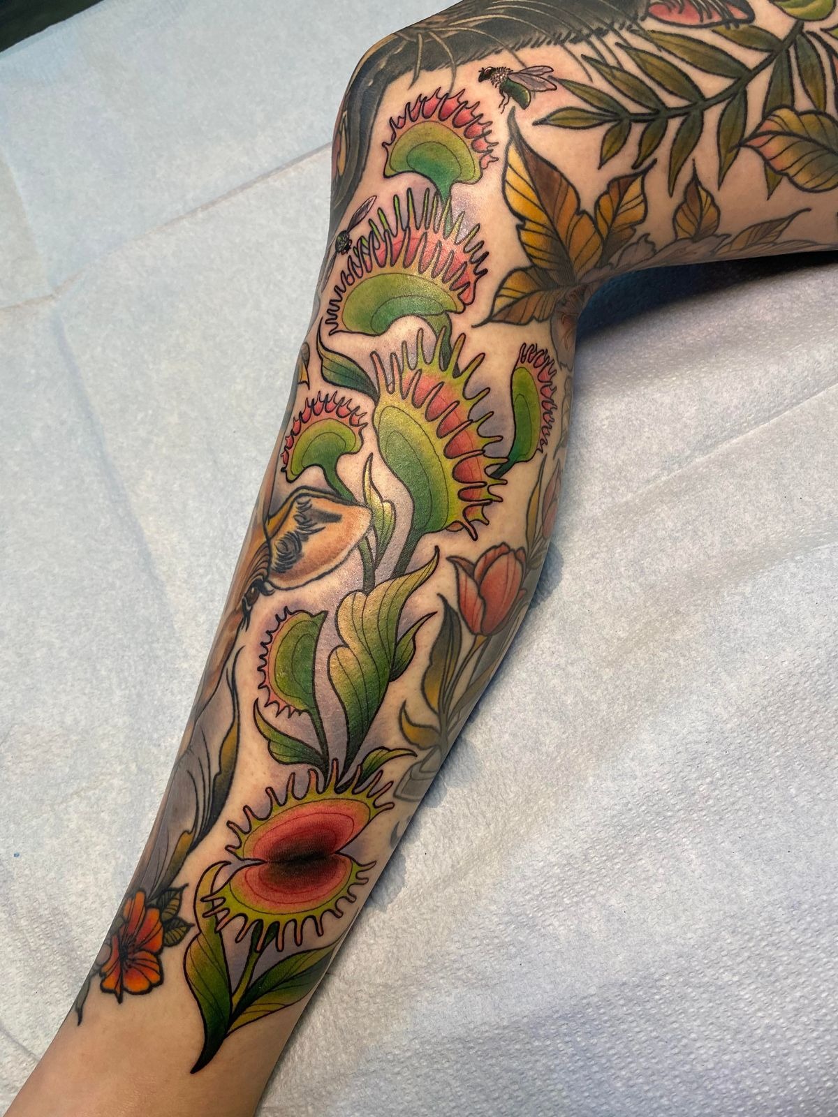 Carnivorous Venus Flytrap in Traditional Color Tattoo Design