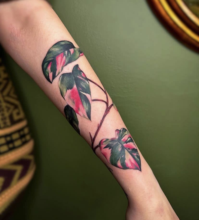 Pink Variegated Vine on the Arm Tattoo Design