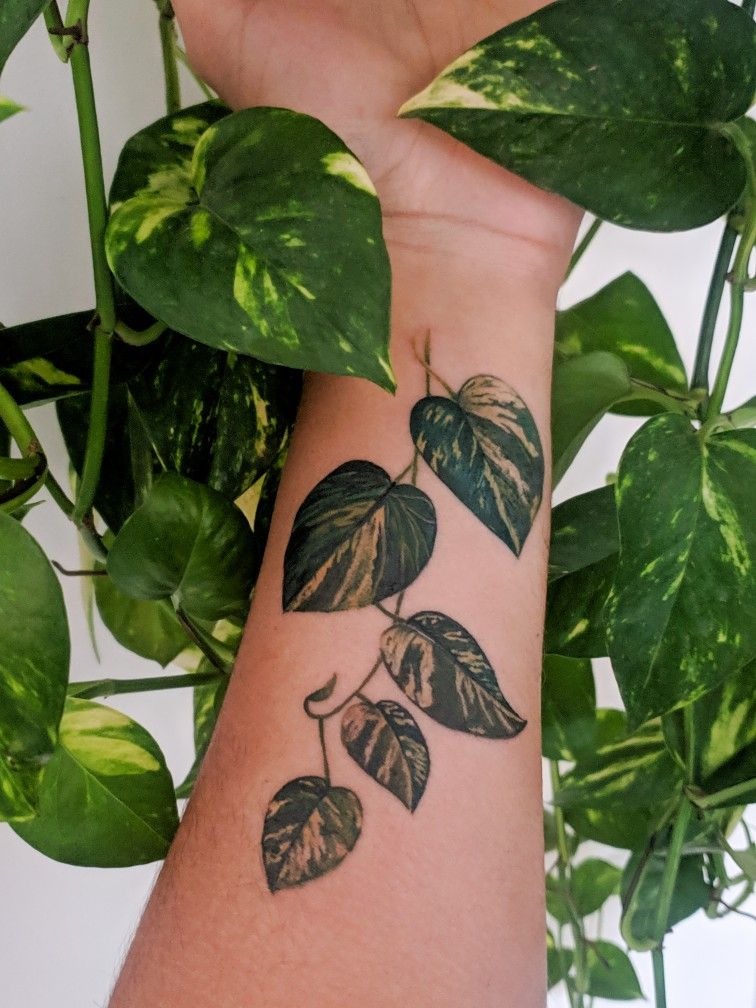 Tiny Pothos Wrist Climber Tattoo Design