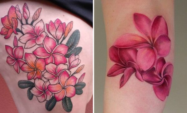 31+ Plumeria Tattoo Ideas & Inspiration