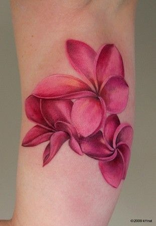 Soft Black and White Plumeria Shoulder Bloom Tattoo Design