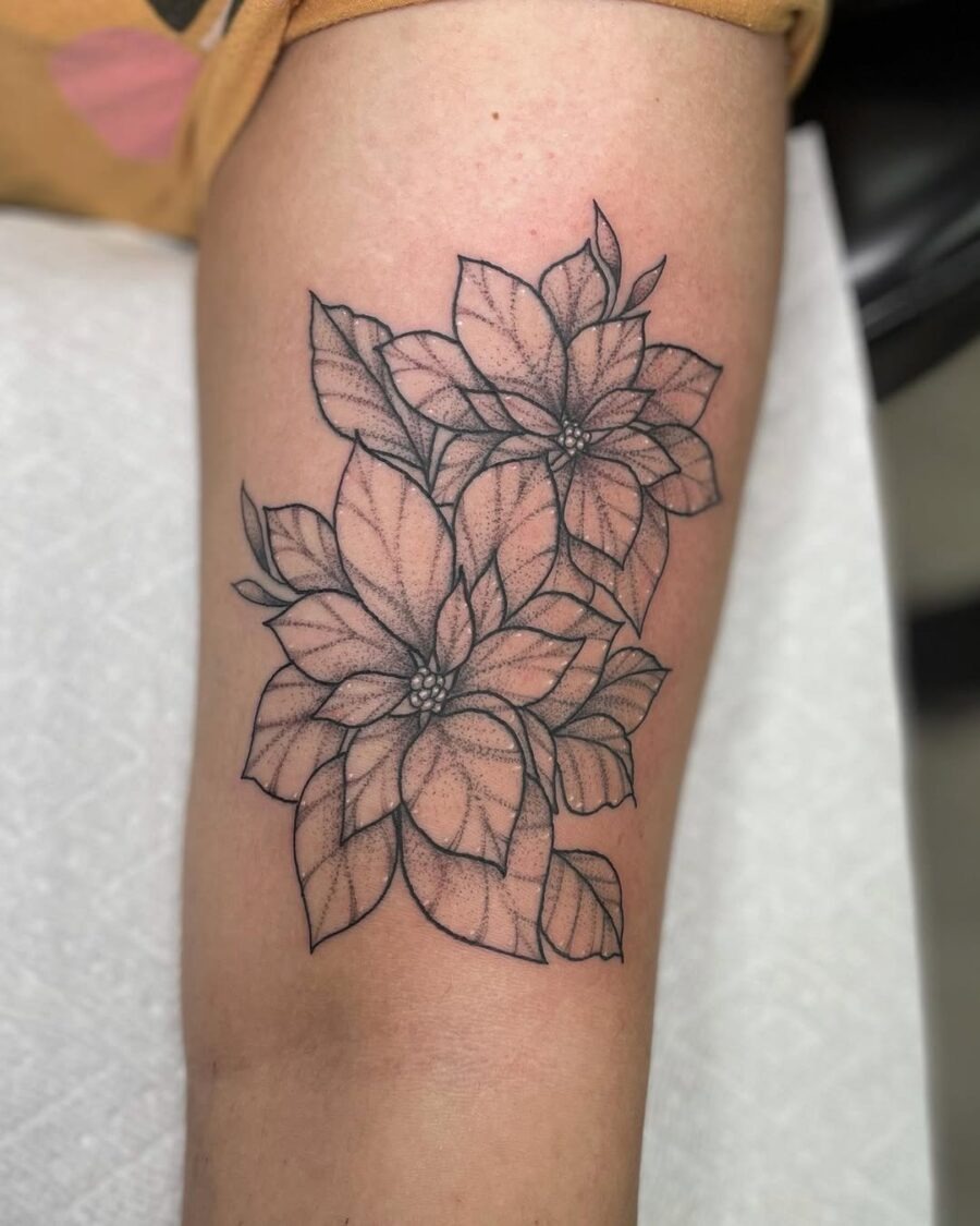 Elegant Black Ink Poinsettia Tattoo Design Tattoo Design