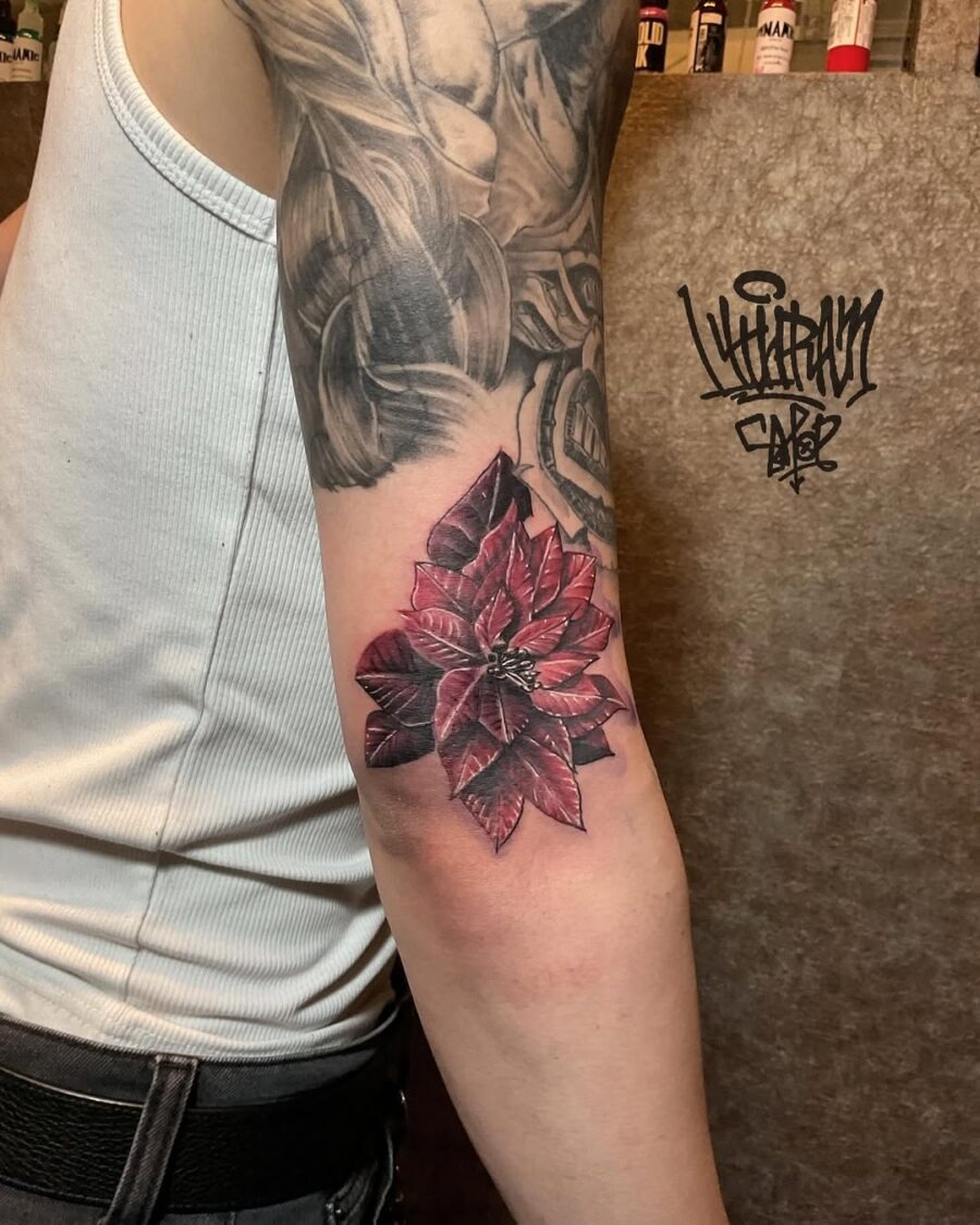 Stunning Poinsettia Tattoo on Arm Tattoo Design