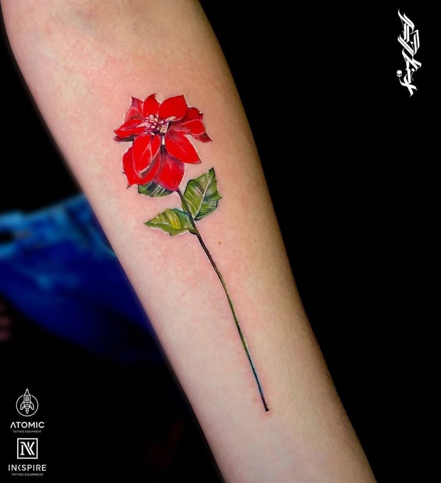 Vibrant Poinsettia Tattoo on the Forearm Tattoo Design