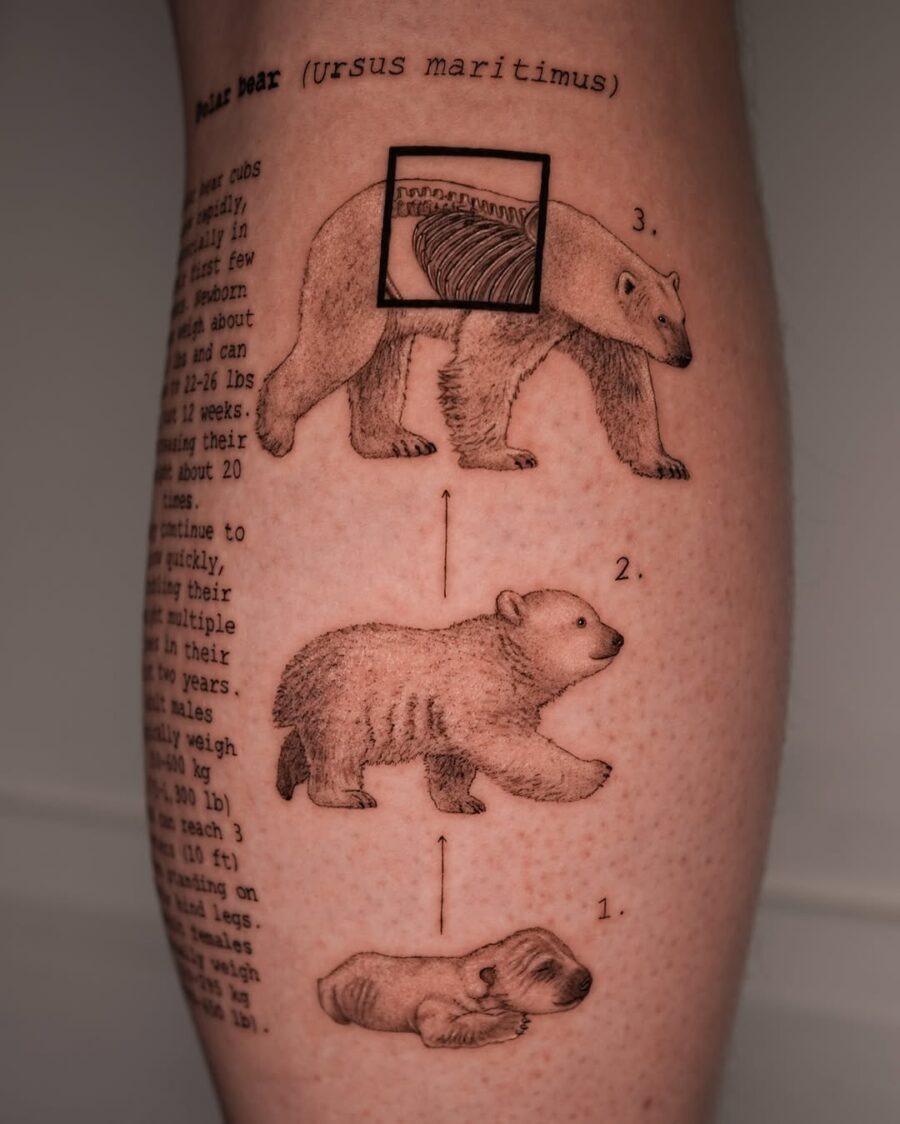 Intricate polar bear tattoo with fun facts Tattoo Design