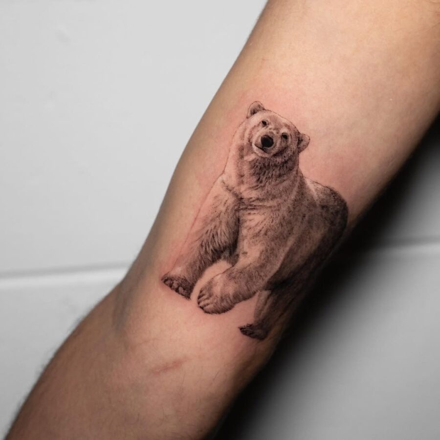 Striking realistic polar bear tattoo on arm Tattoo Design