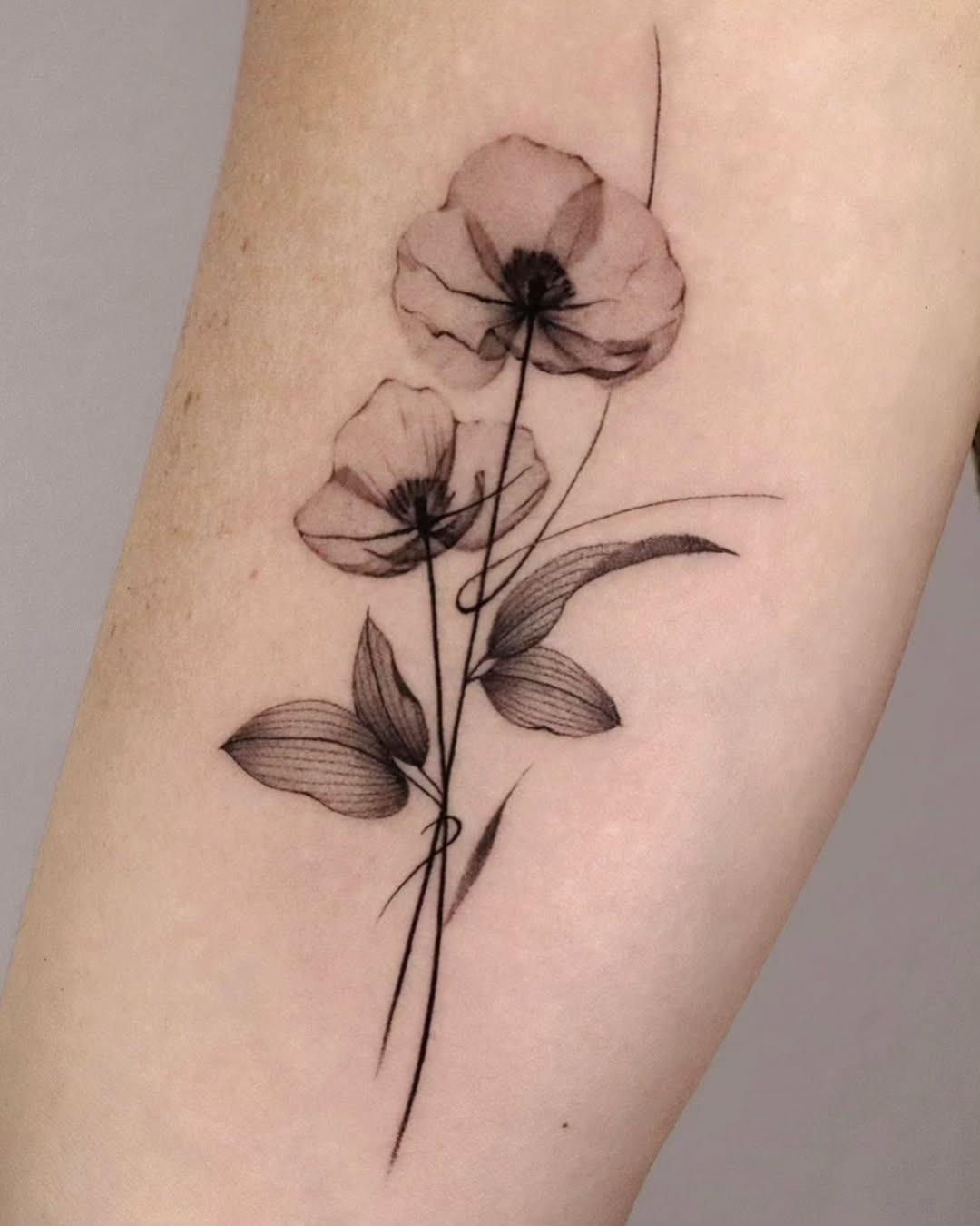 Delicate poppy flowers tattoo with graceful lines Tattoo Design