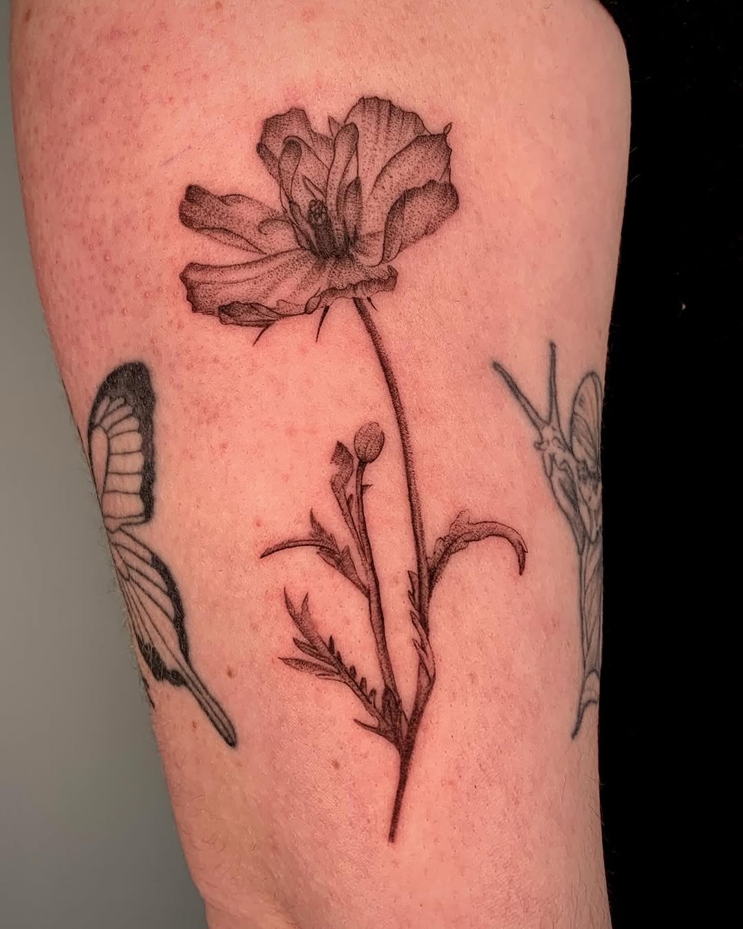 Delicate poppy tattoo showcasing intricate detailing Tattoo Design