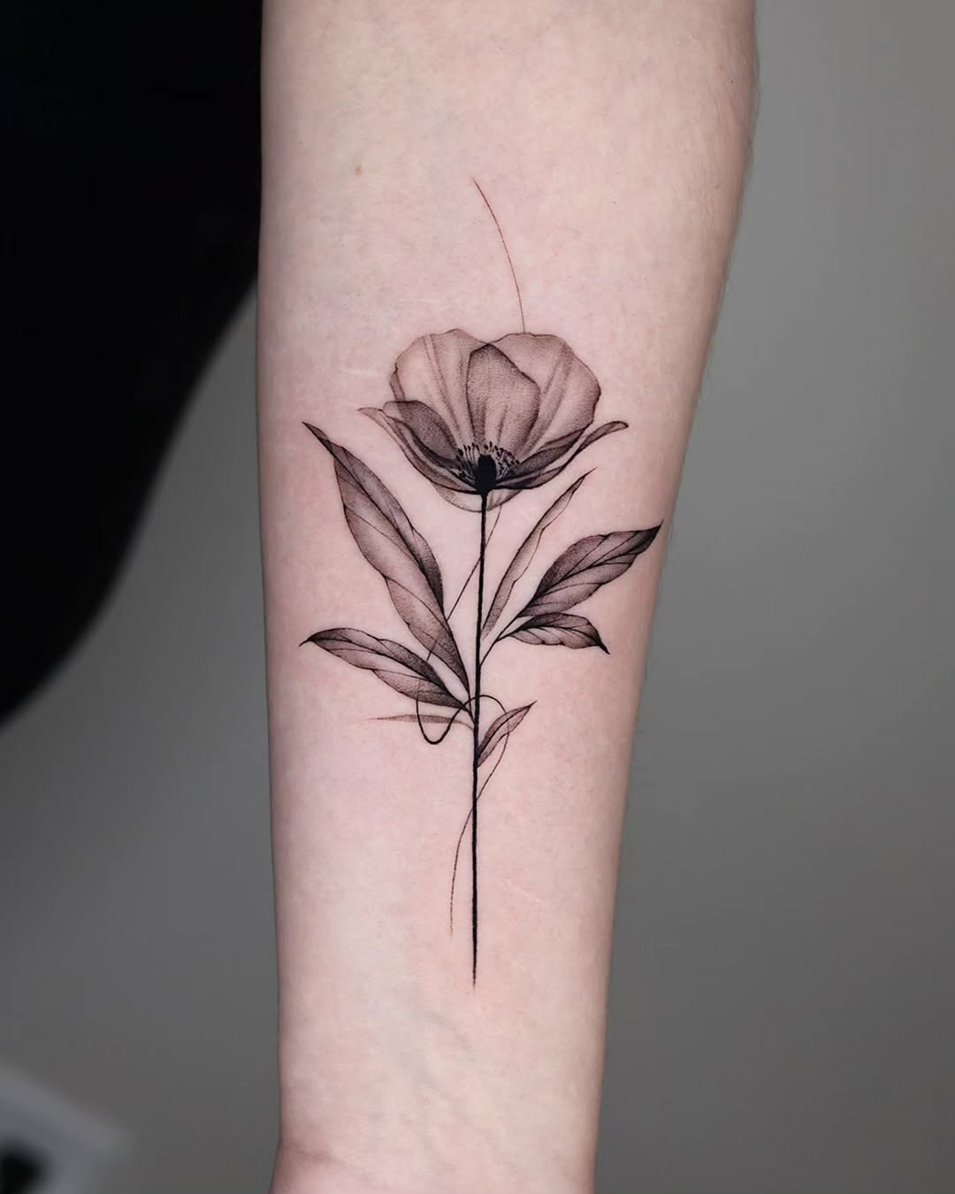 Elegant minimalist poppy tattoo design for arm Tattoo Design