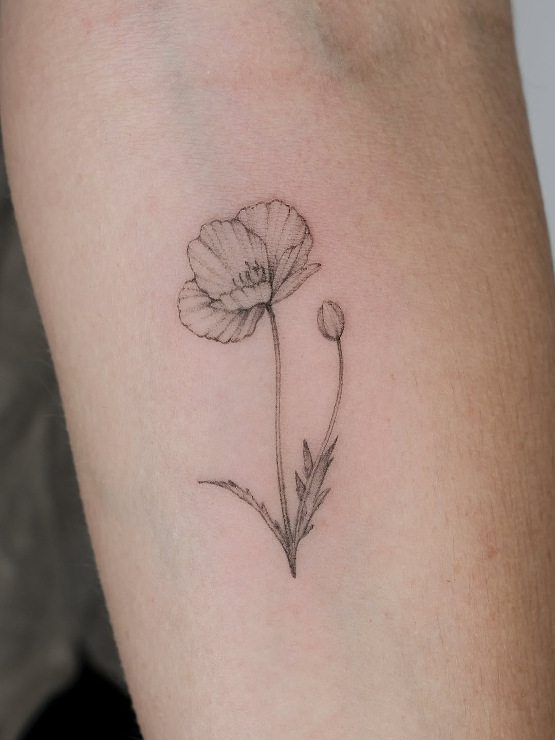 Elegant poppy tattoo showcasing delicate artistry Tattoo Design