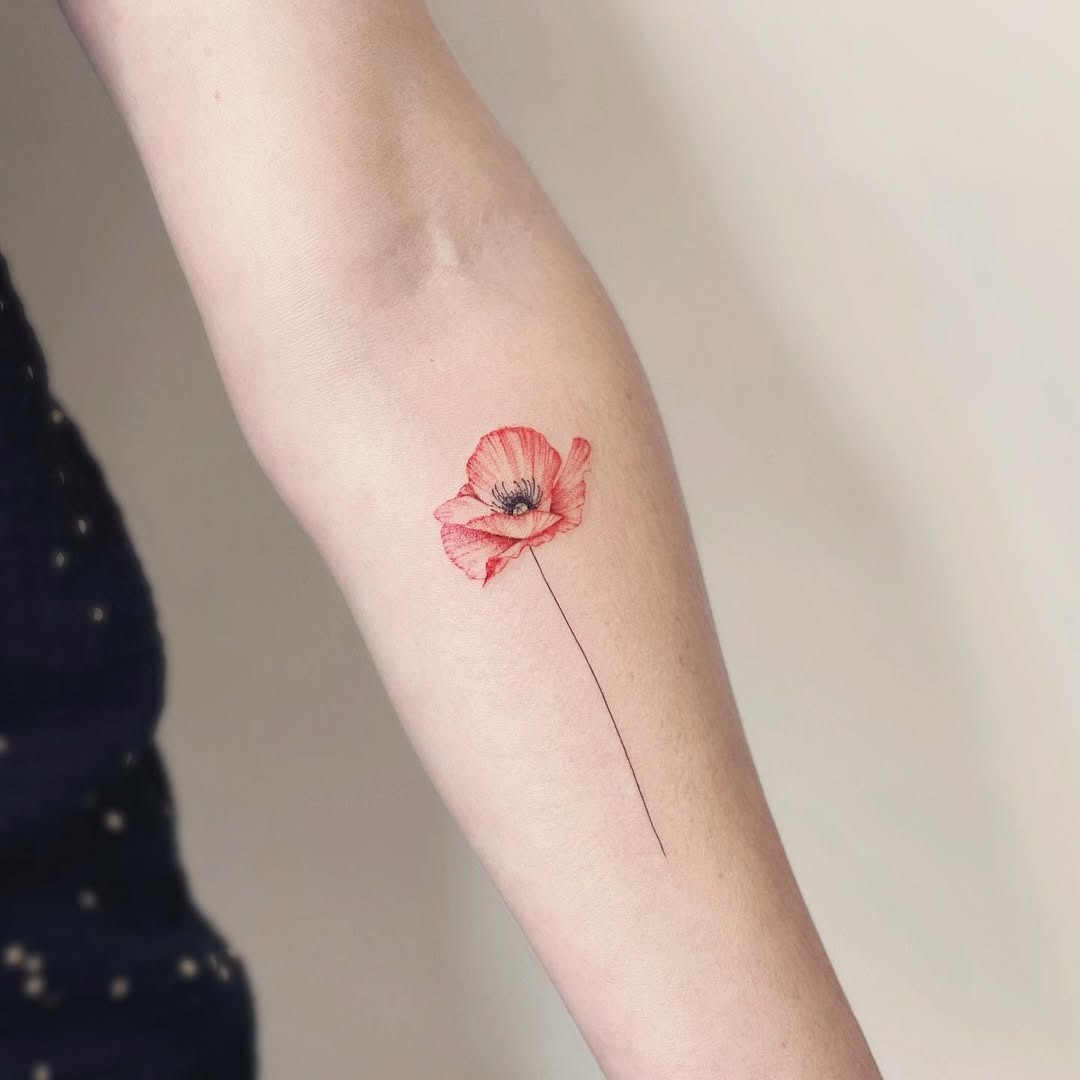 Stunning realistic poppy tattoo on the arm Tattoo Design