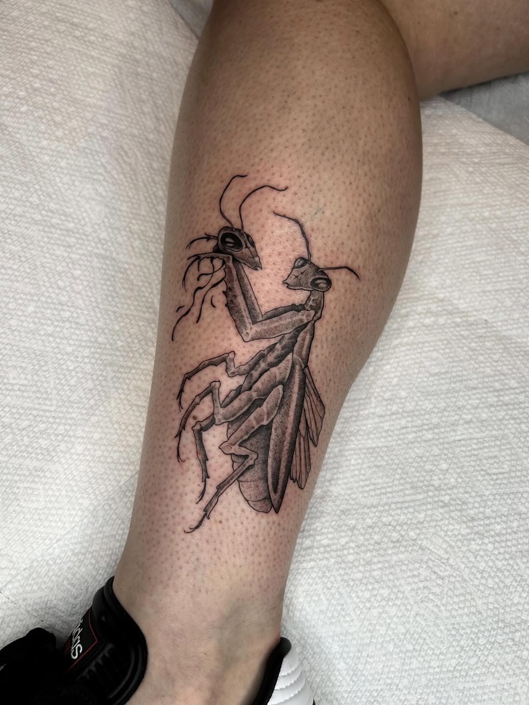 Detailed praying mantis tattoo on the leg Tattoo Design