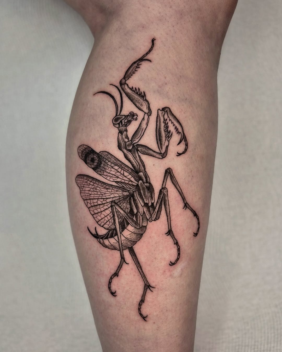 Intricate Praying Mantis Tattoo on Leg Tattoo Design