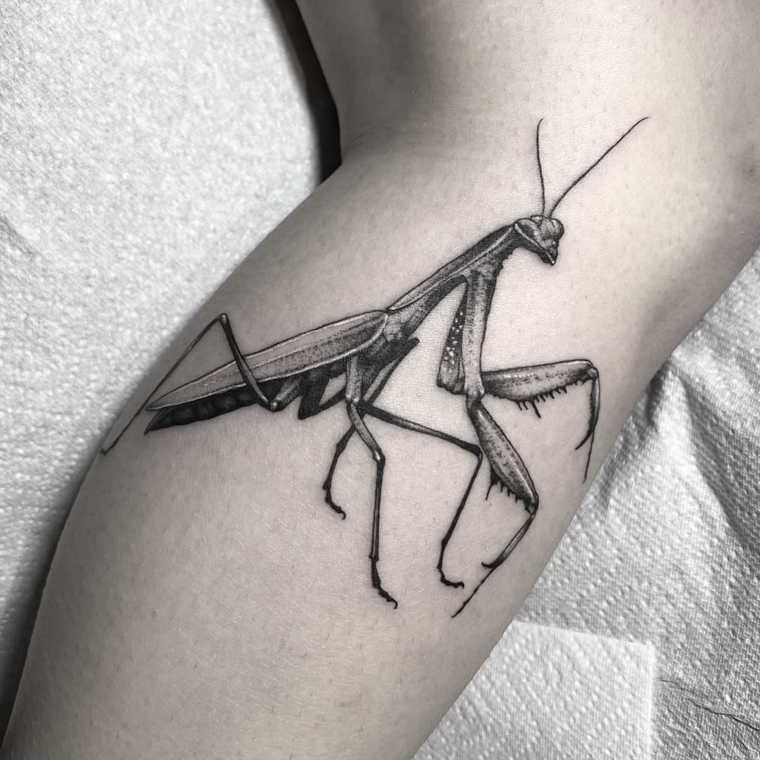 Stunning realistic praying mantis tattoo design Tattoo Design