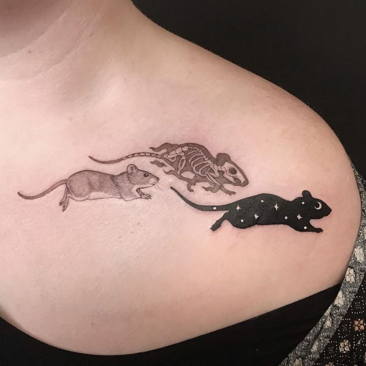 Life Cycle Rat Tattoo Trio Tattoo Design