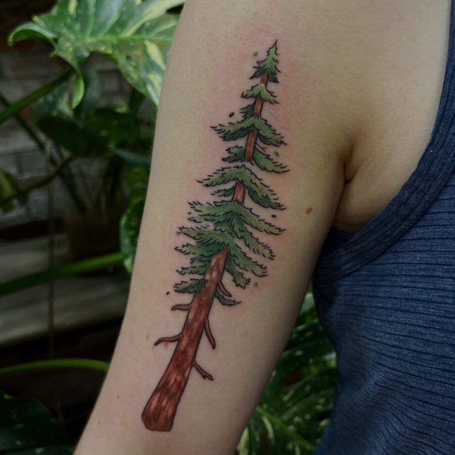 Beautiful redwood tree tattoo on arm Tattoo Design