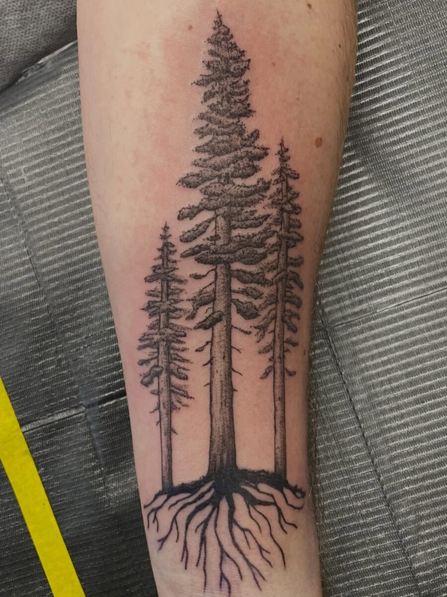 Elegant black and grey redwood tree tattoo Tattoo Design