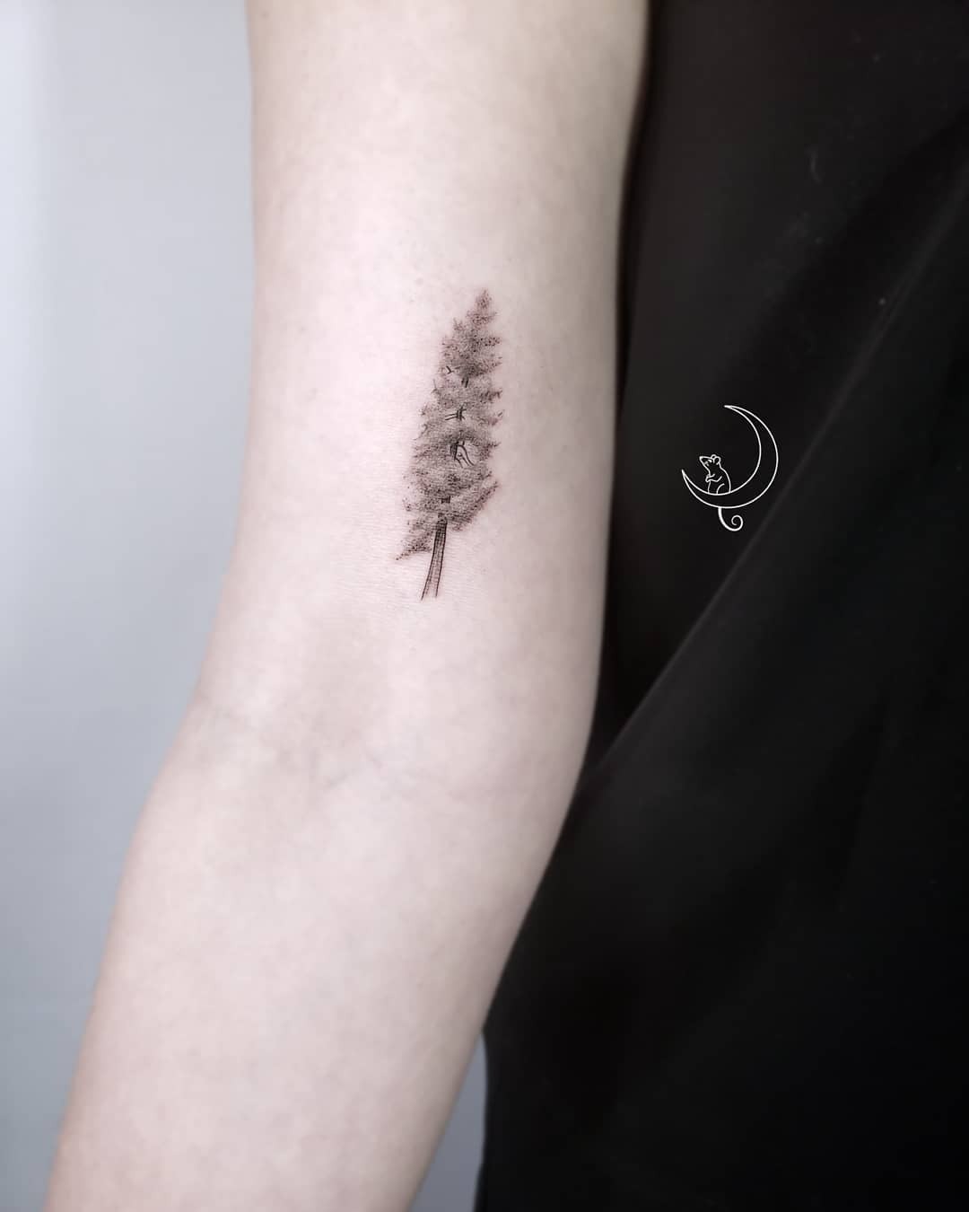Elegant black ink redwood tree tattoo design Tattoo Design
