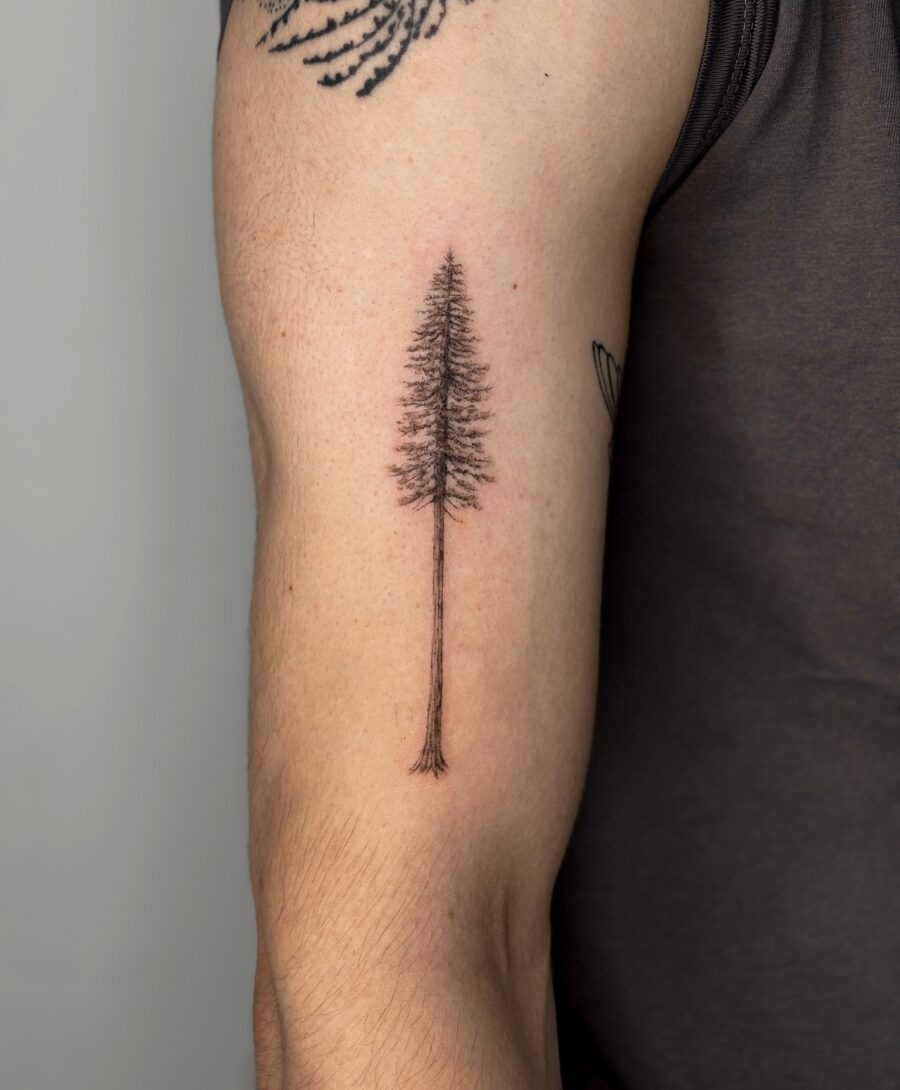 Elegant Minimalist Redwood Tattoo on Forearm Tattoo Design