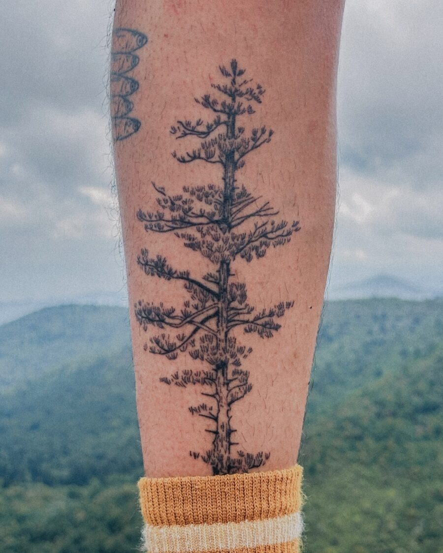 Elegant redwood tattoo on a scenic backdrop Tattoo Design
