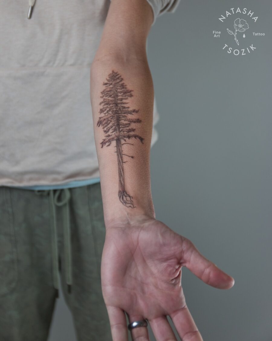 Elegant redwood tree tattoo on the arm Tattoo Design