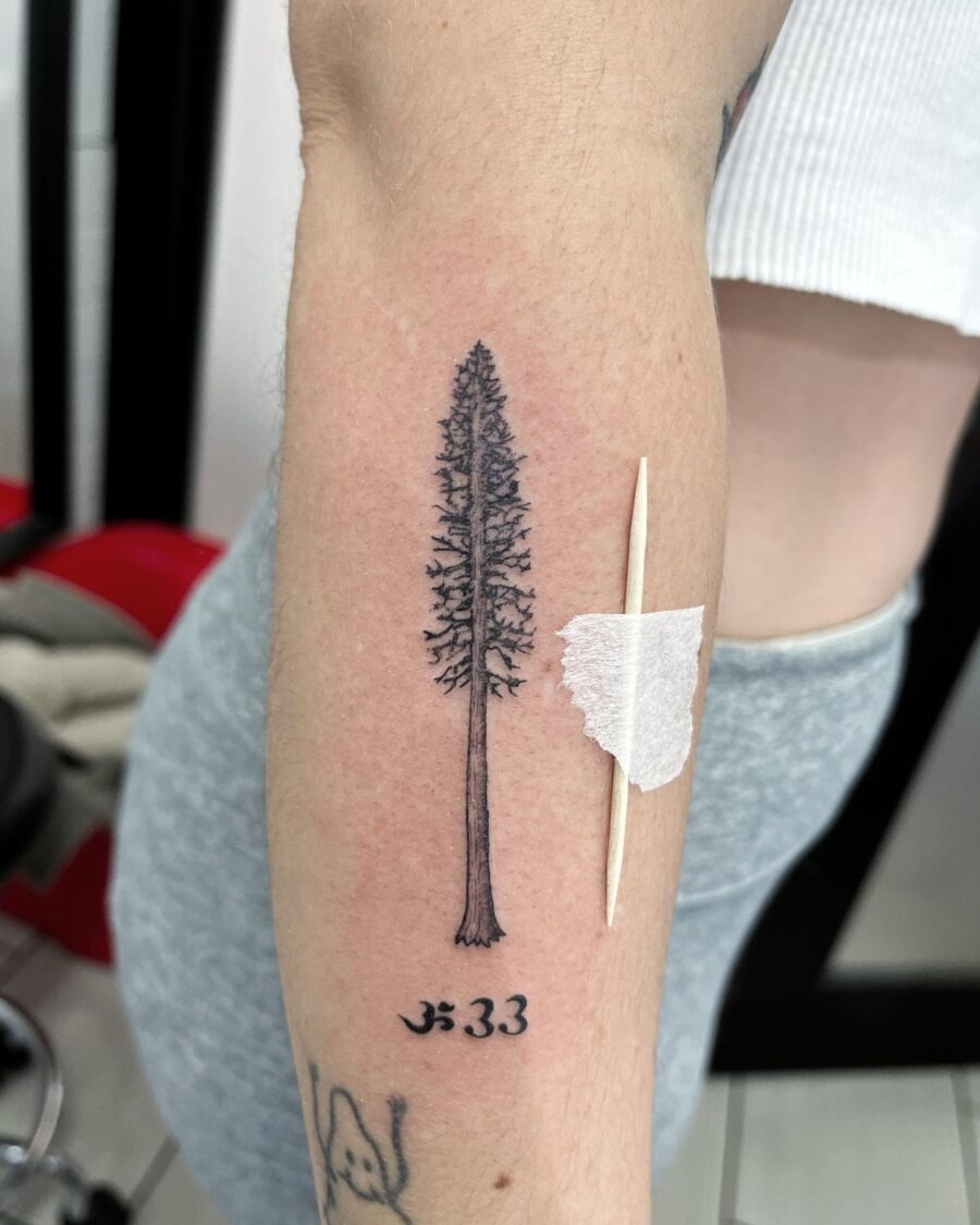 Elegant redwood tree tattoo on the forearm Tattoo Design