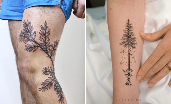 Redwood Tree Tattoo Ideas For Subtle and Symbolic Placement