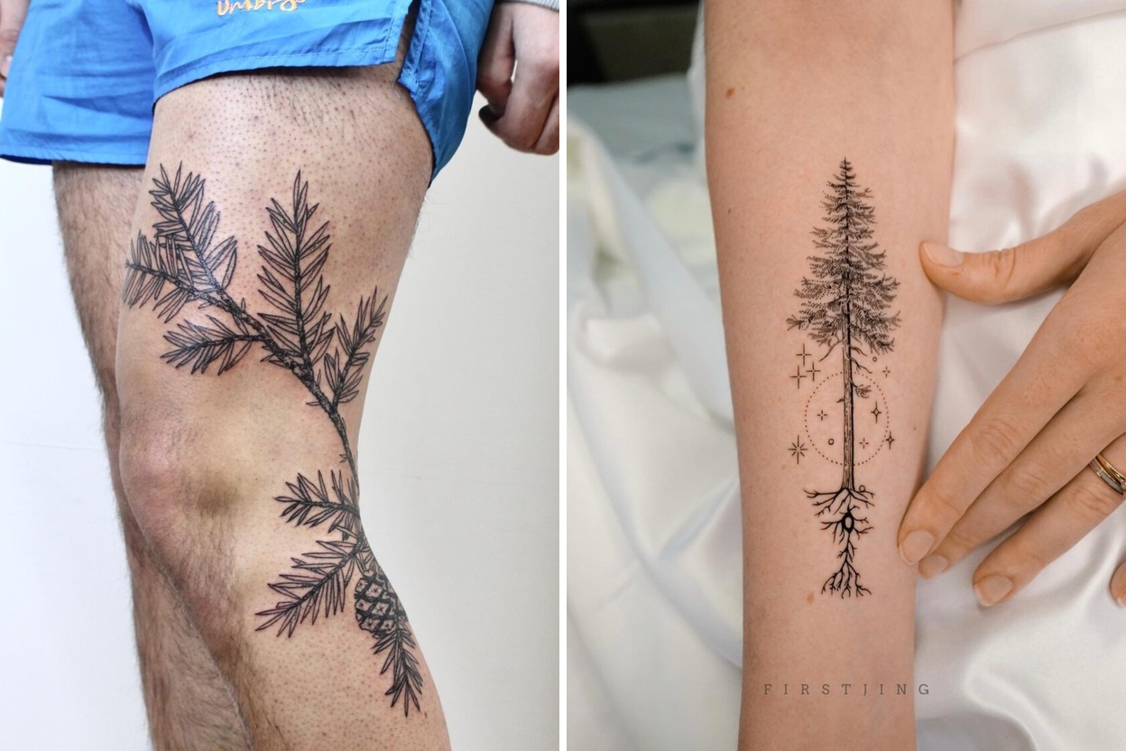 Redwood Tree Tattoo Ideas For Subtle and Symbolic Placement Featured Lookbook Collage