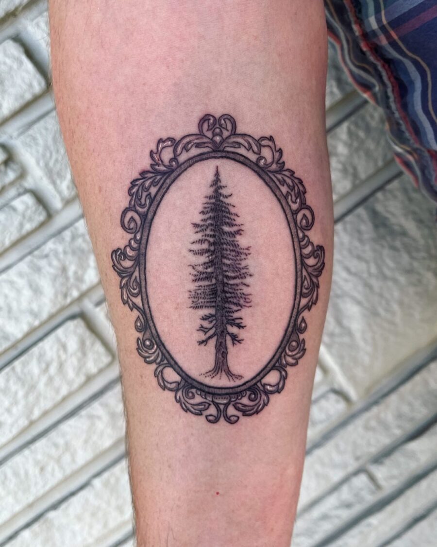 Intricate framed redwood tree tattoo design Tattoo Design