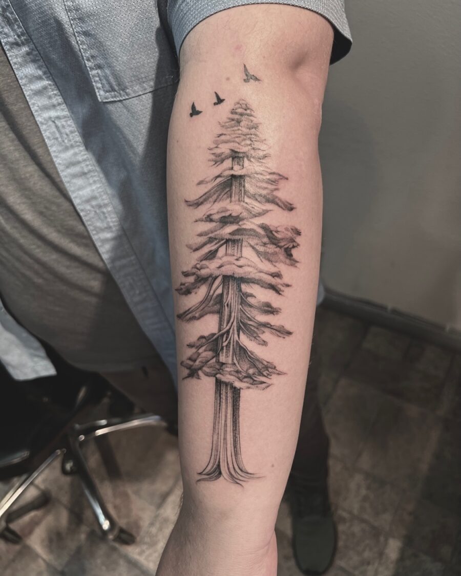 Intricate redwood tree tattoo with flying birds Tattoo Design