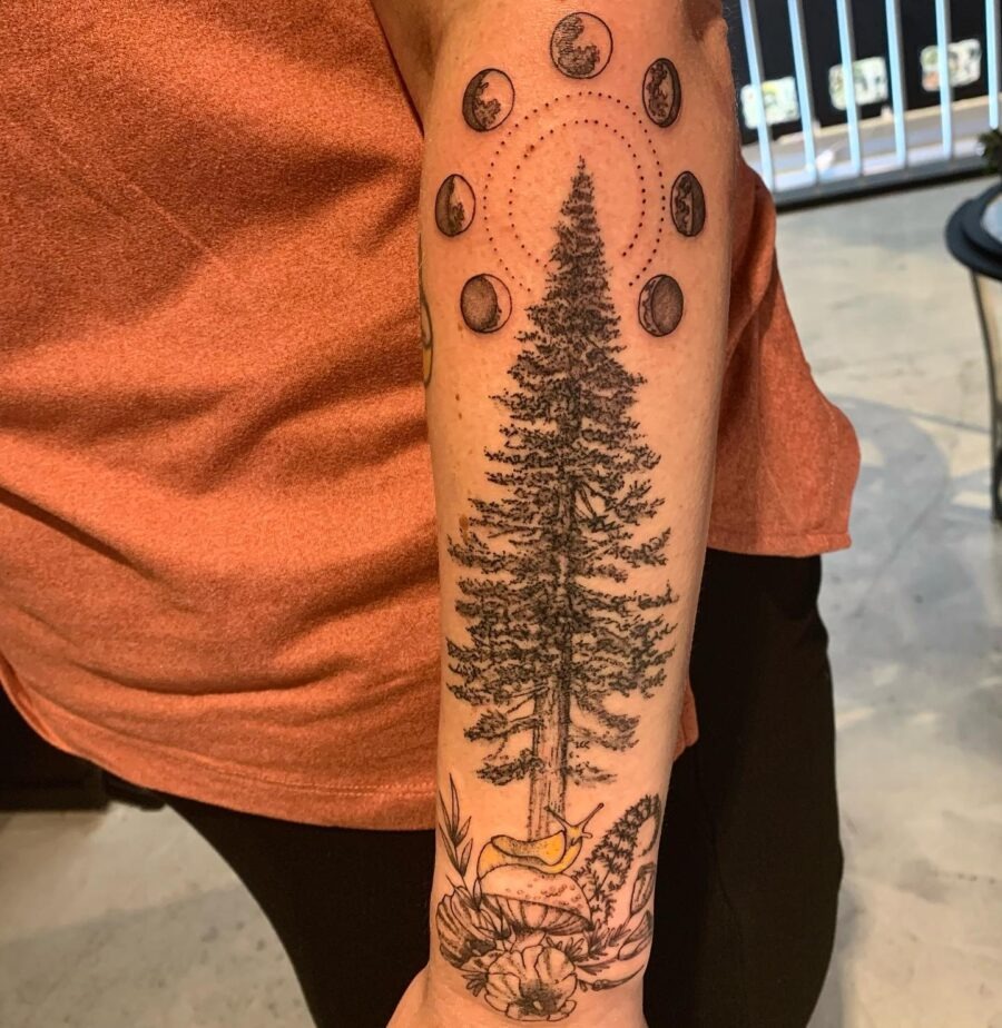 Intricate Redwood Tree with Moon Phases Tattoo Design