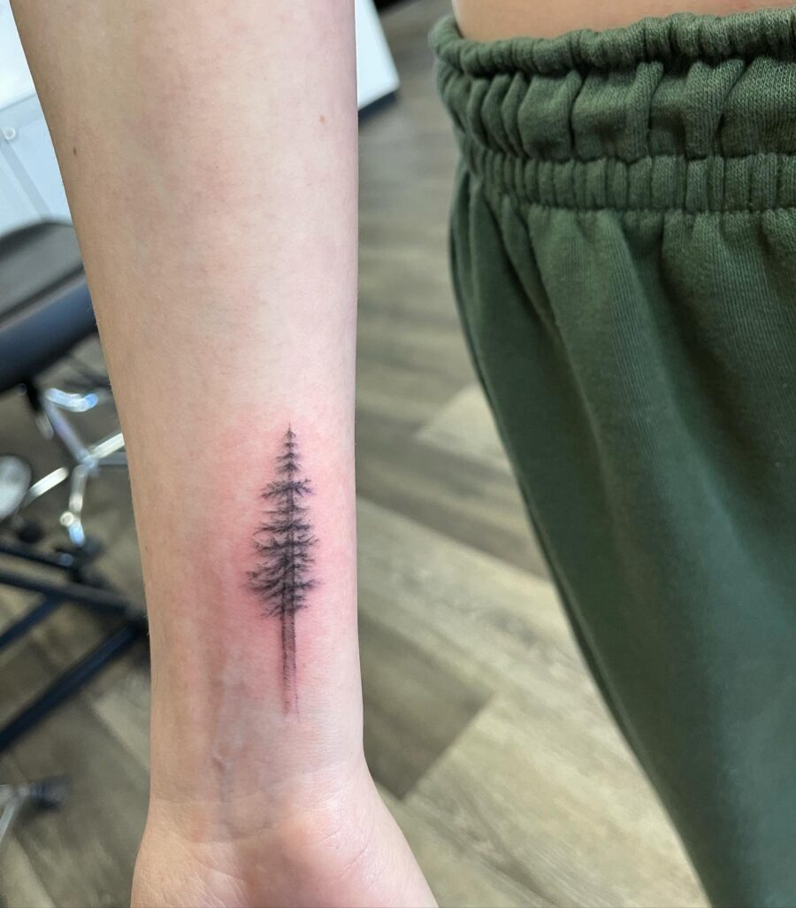Minimalist Redwood Tree Tattoo Elegance Tattoo Design