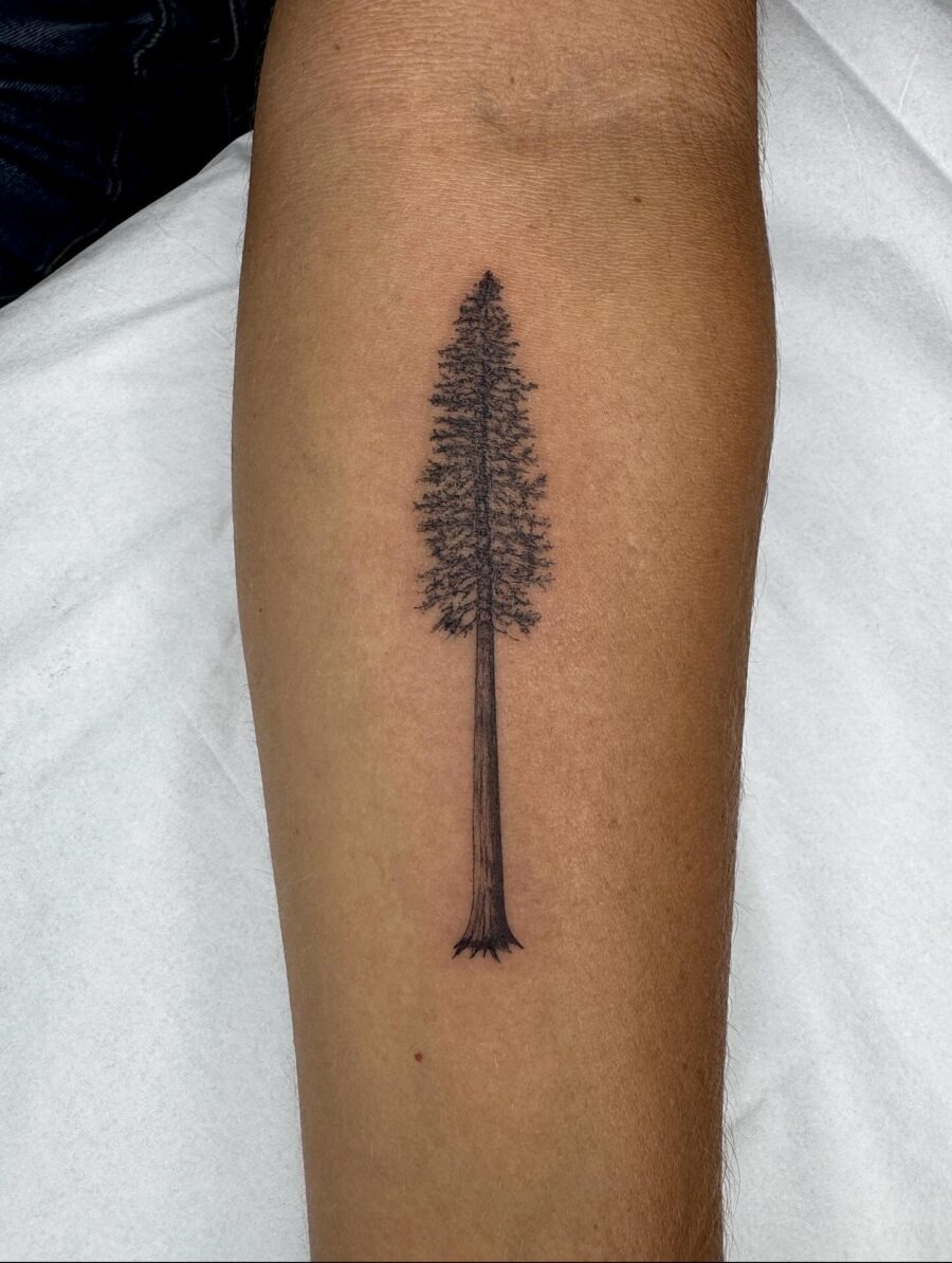 Minimalist redwood tree tattoo on forearm Tattoo Design
