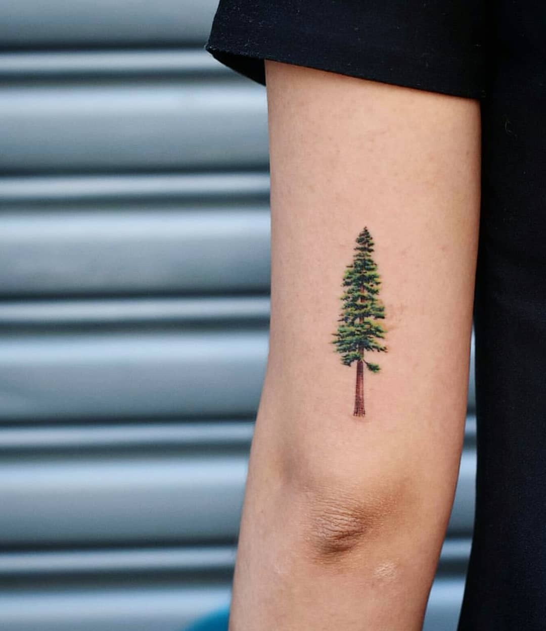 Minimalist redwood tree tattoo on the forearm Tattoo Design
