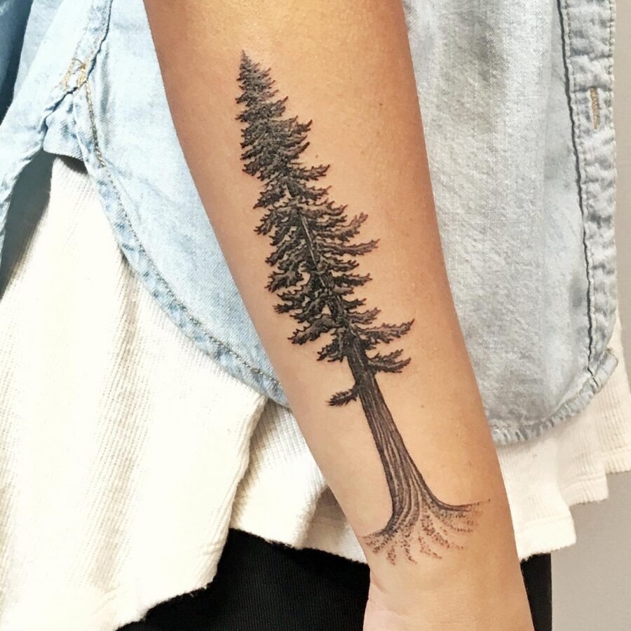 Nature-Inspired Redwood Tree Tattoo on Forearm Tattoo Design