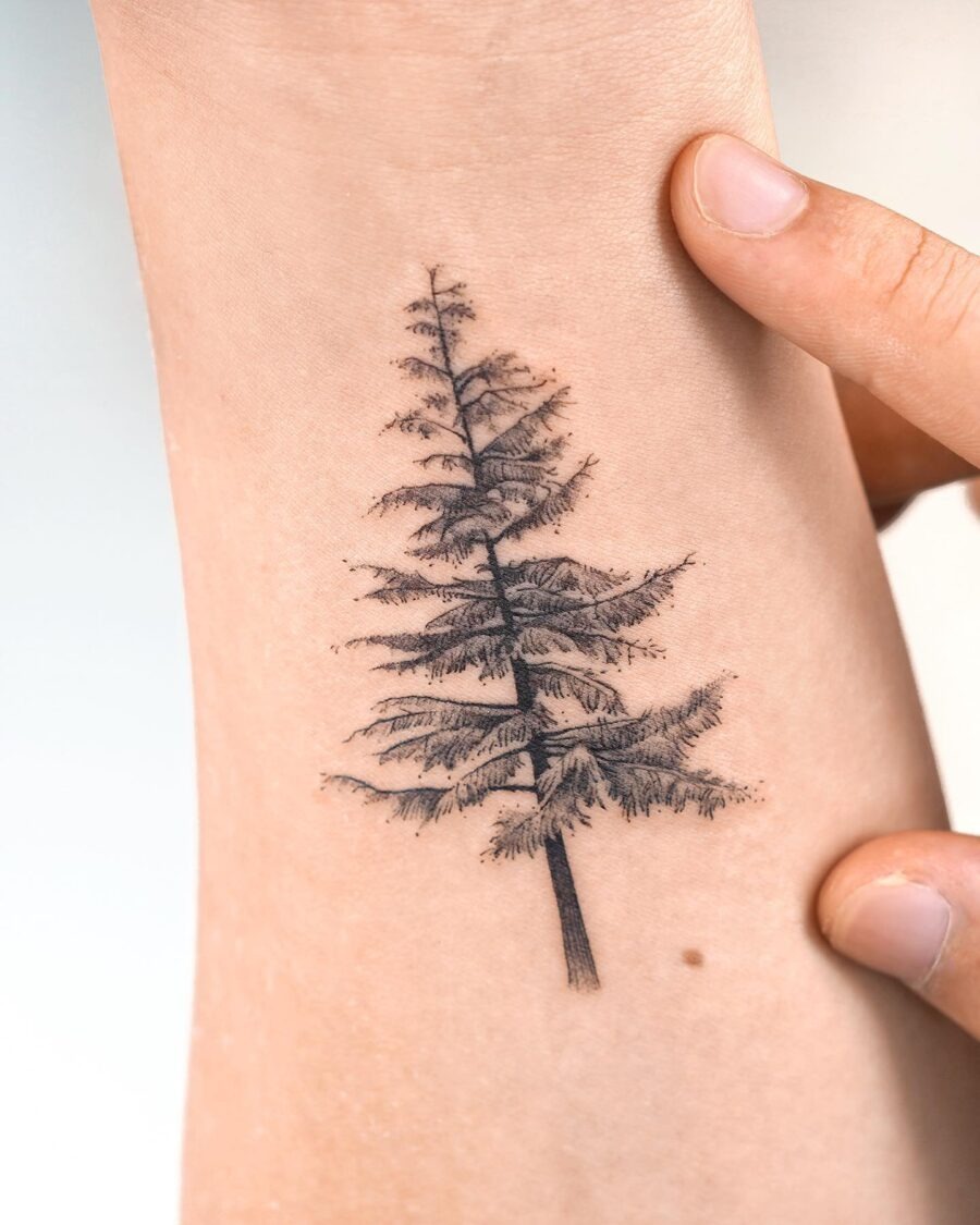 Stunning Realistic Redwood Tree Tattoo Design Tattoo Design